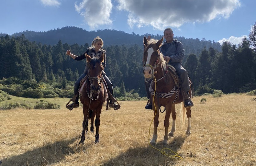 Monarch Butterfly (seasonal) 